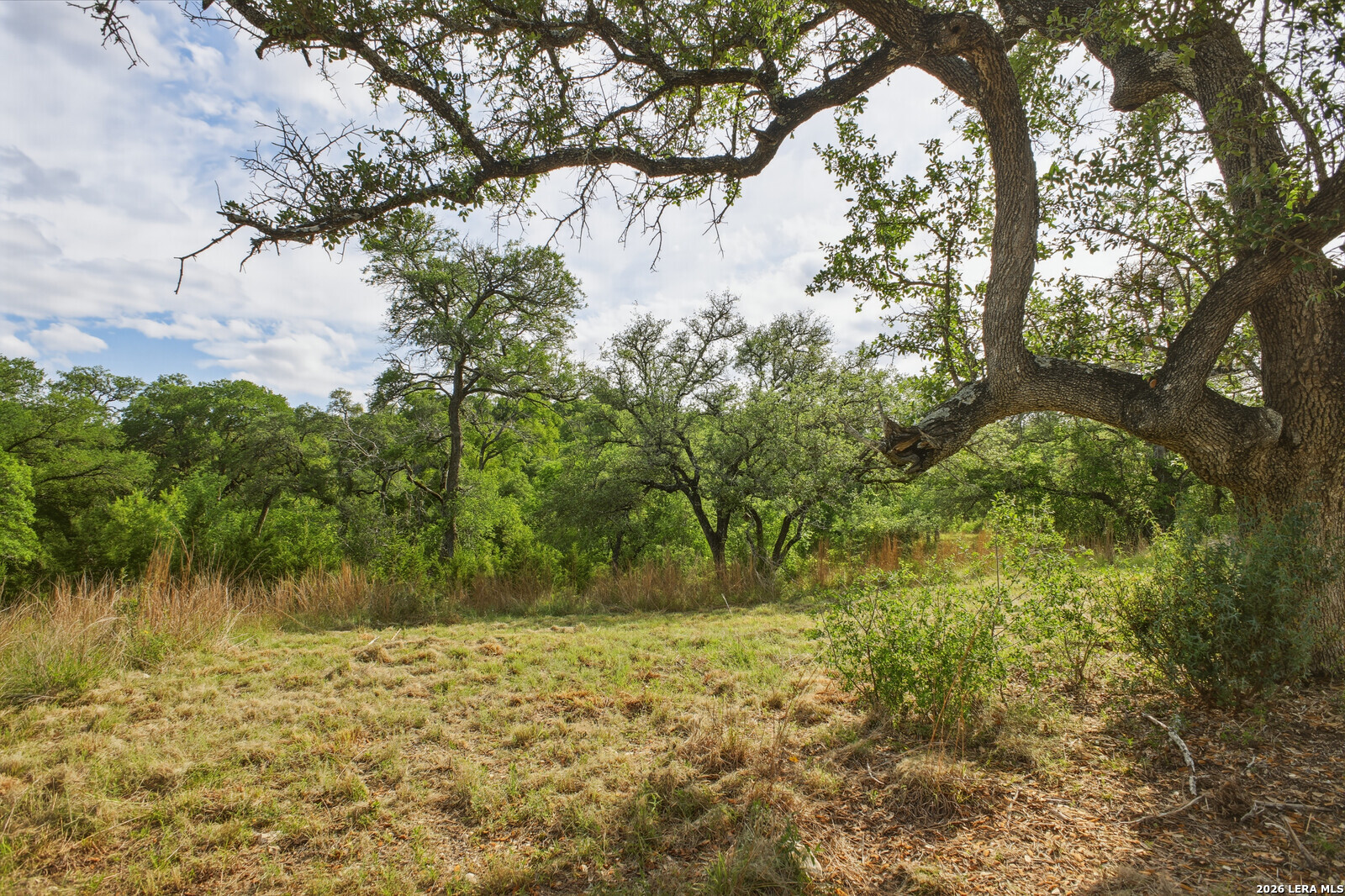 26719 Pecan Bluff Boerne TX 78006