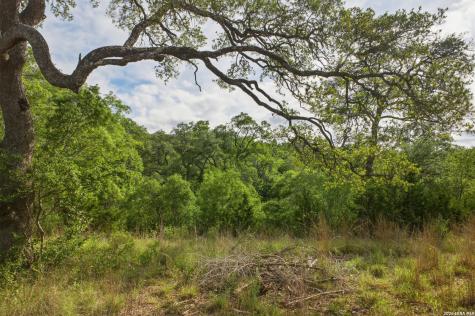 26719 Pecan Bluff Boerne TX 78006