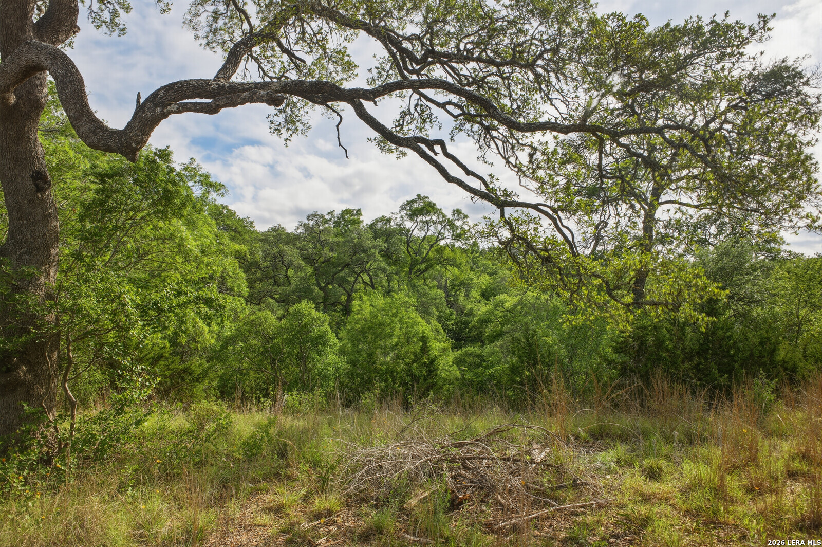 26719 Pecan Bluff Boerne TX 78006
