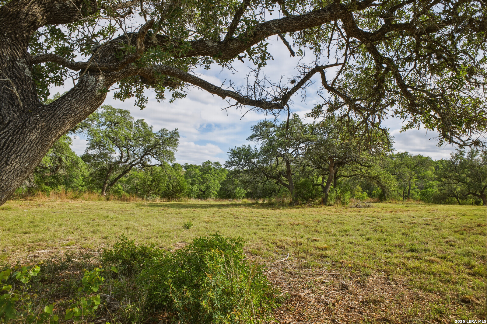 26719 Pecan Bluff Boerne TX 78006