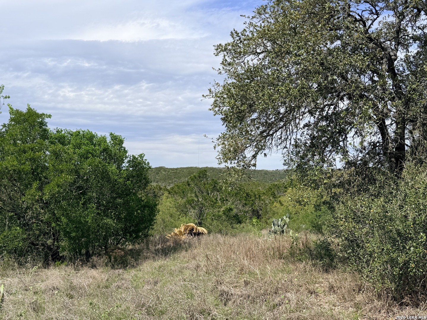 686 County Road 2700 Mico TX 78056