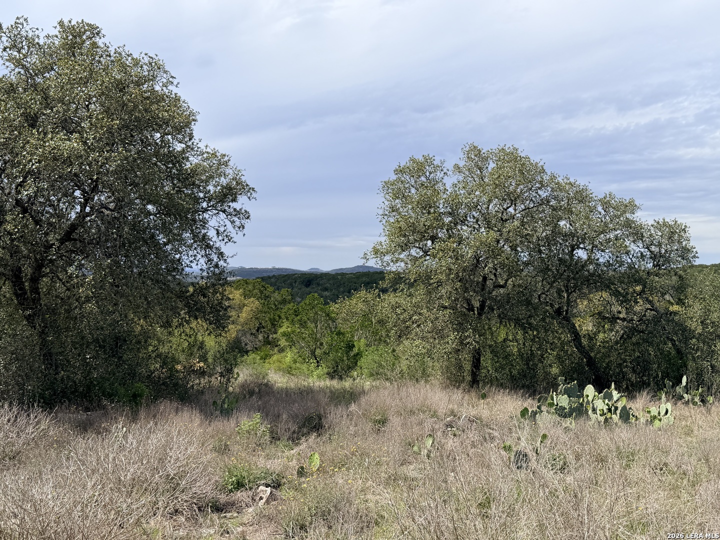 686 County Road 2700 Mico TX 78056