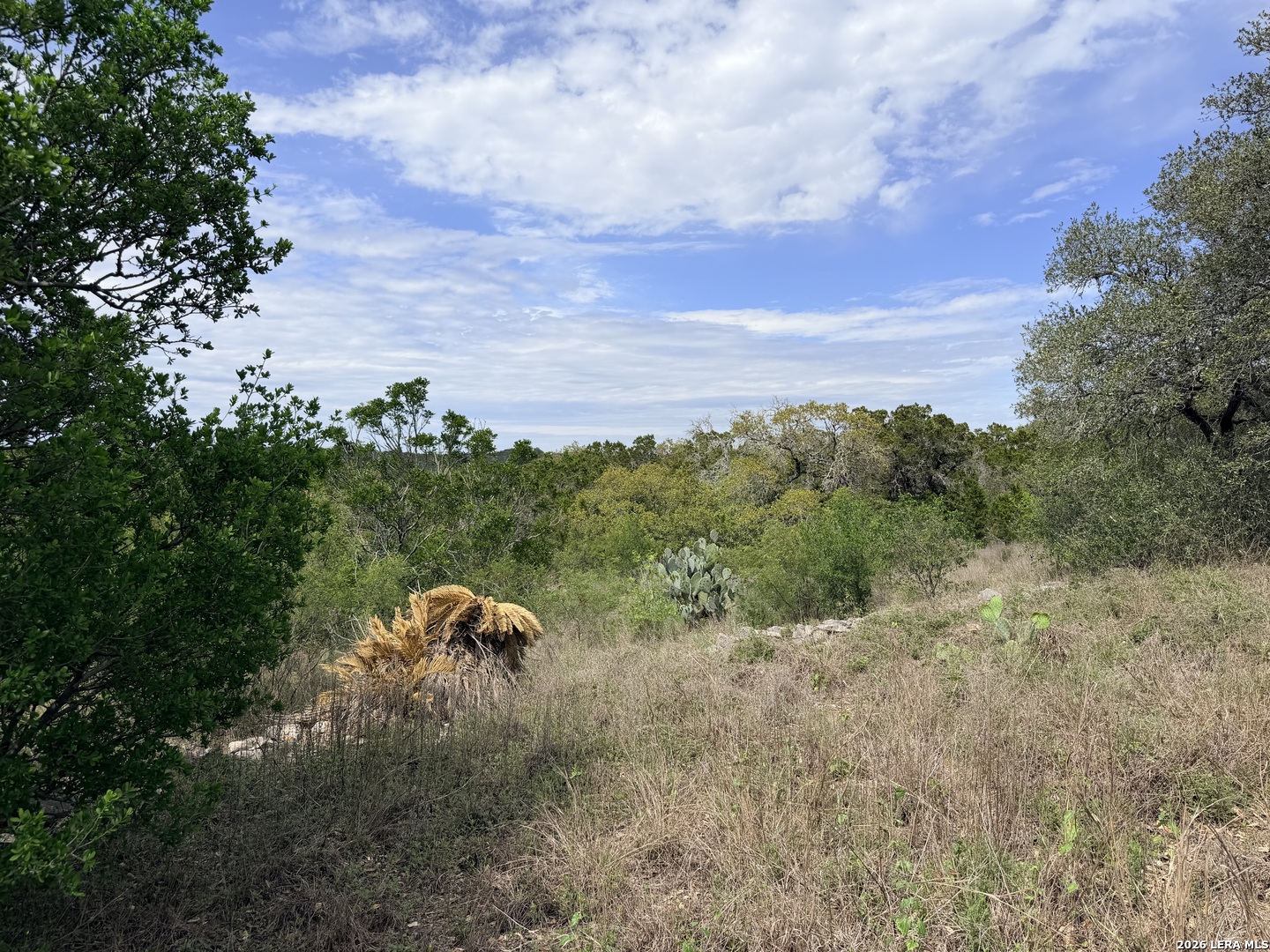 686 County Road 2700 Mico TX 78056
