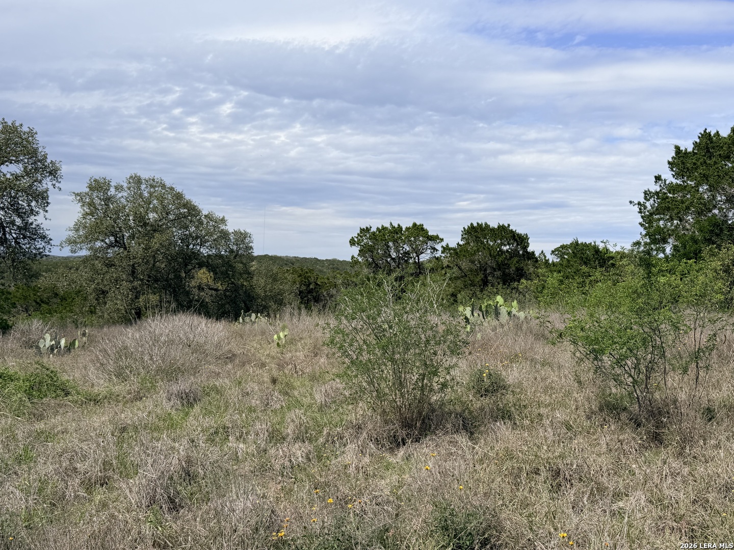 686 County Road 2700 Mico TX 78056