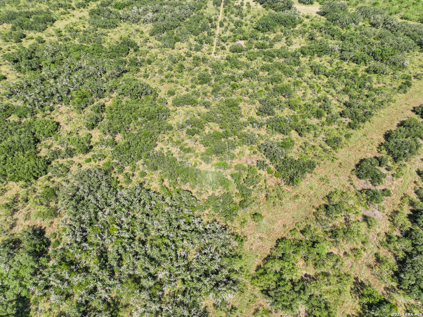 Lot 40 Sky View Ranch Dhanis TX 78850