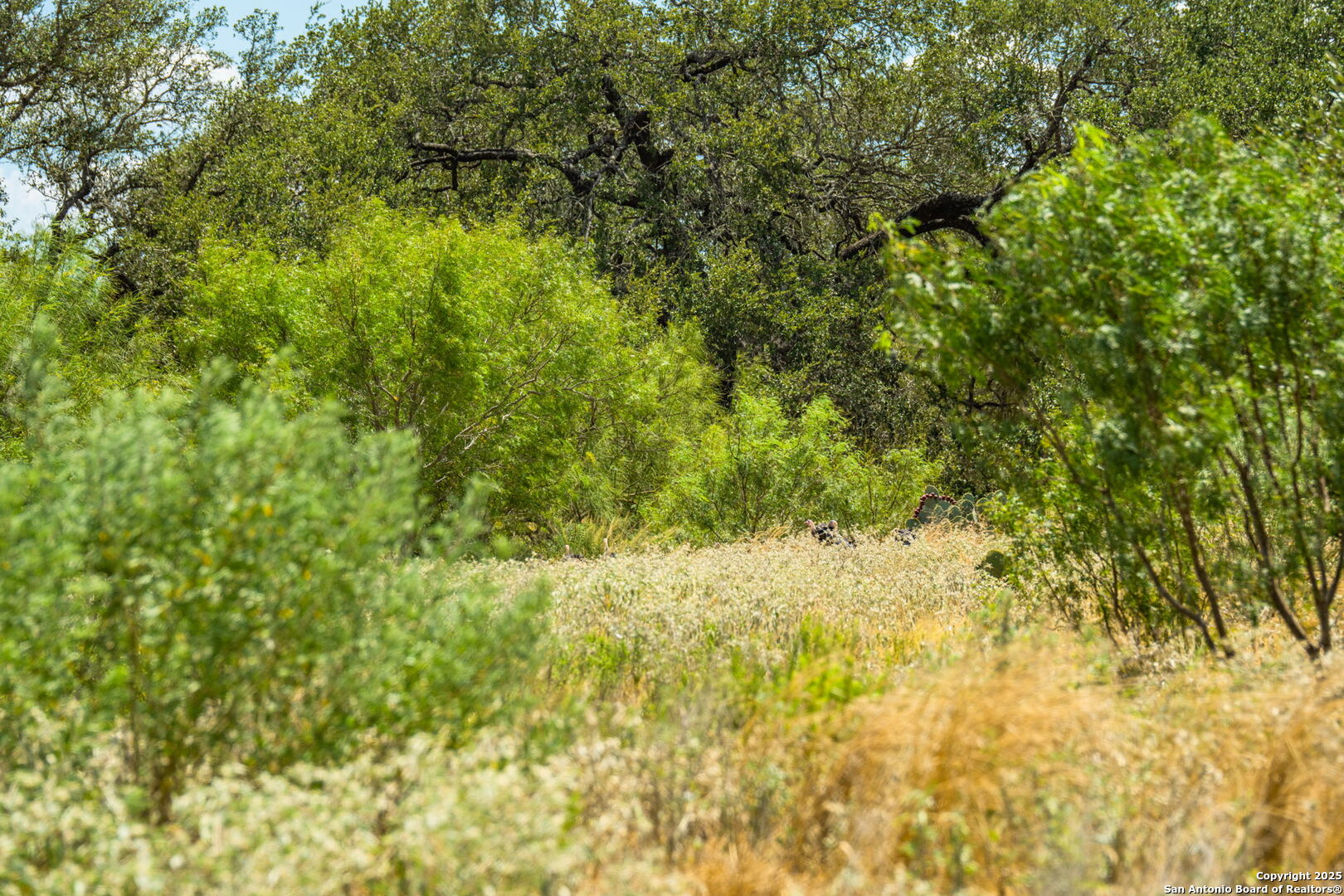 1700 Bruce Poteet TX 78065