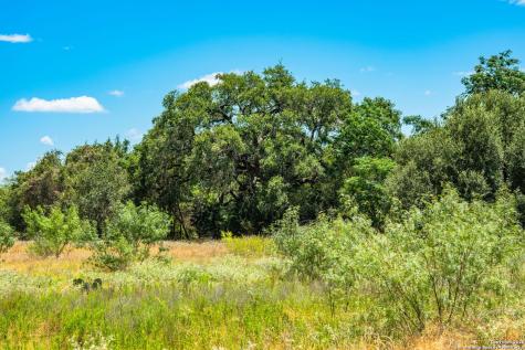 1700 Bruce Poteet TX 78065