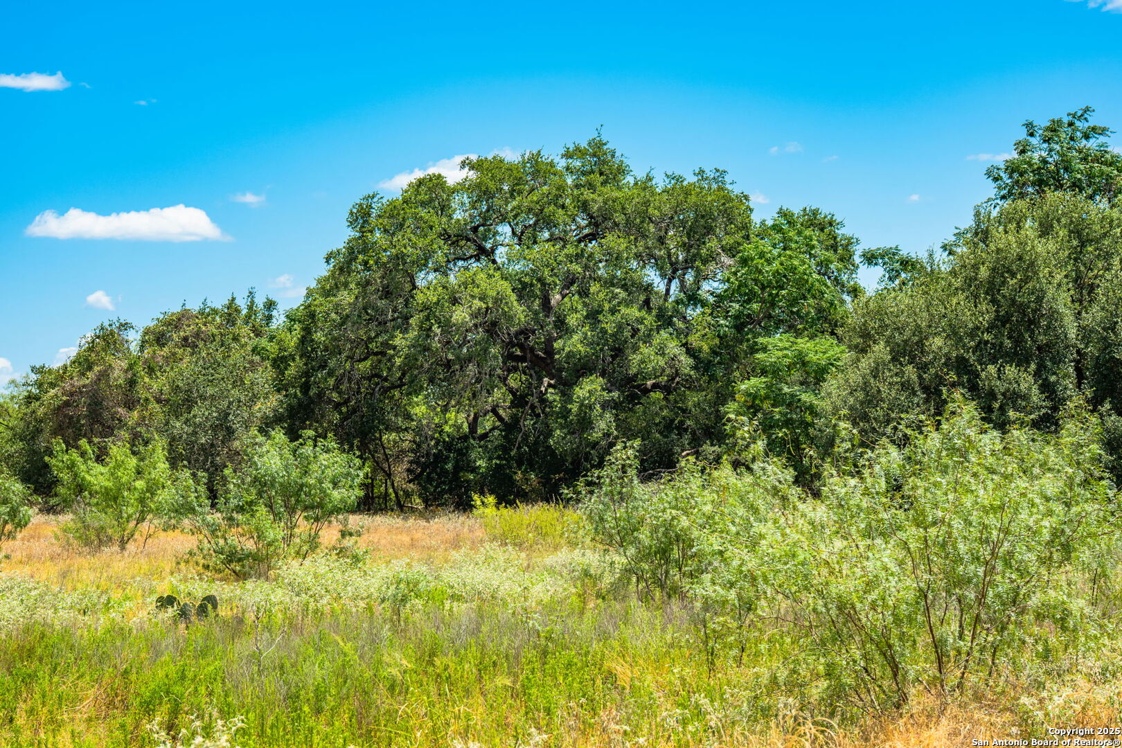 1700 Bruce Poteet TX 78065
