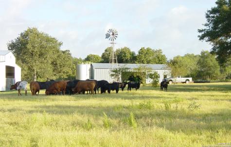 1700 Bruce Poteet TX 78065