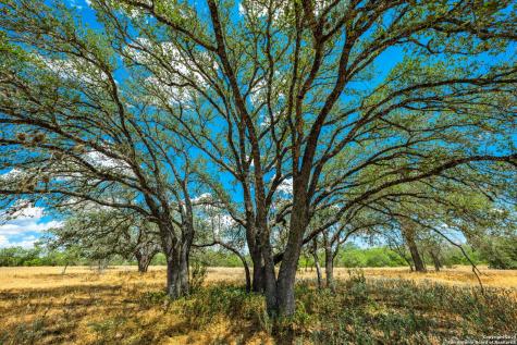 1700 Bruce Poteet TX 78065
