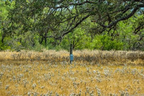 1700 Bruce Poteet TX 78065