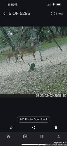 1700 Bruce Poteet TX 78065