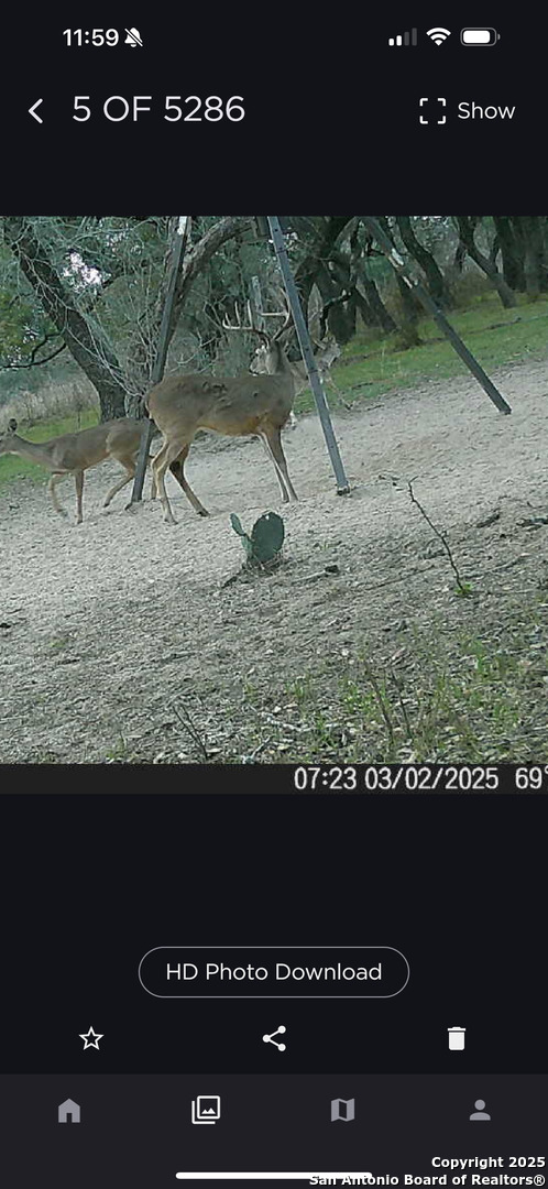 1700 Bruce Poteet TX 78065