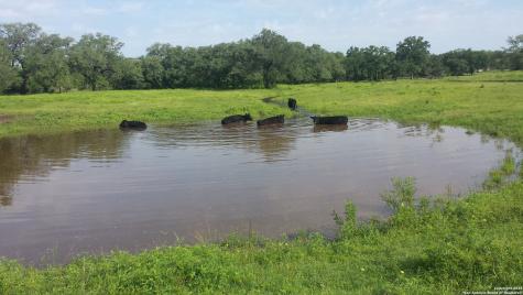 1700 Bruce Poteet TX 78065
