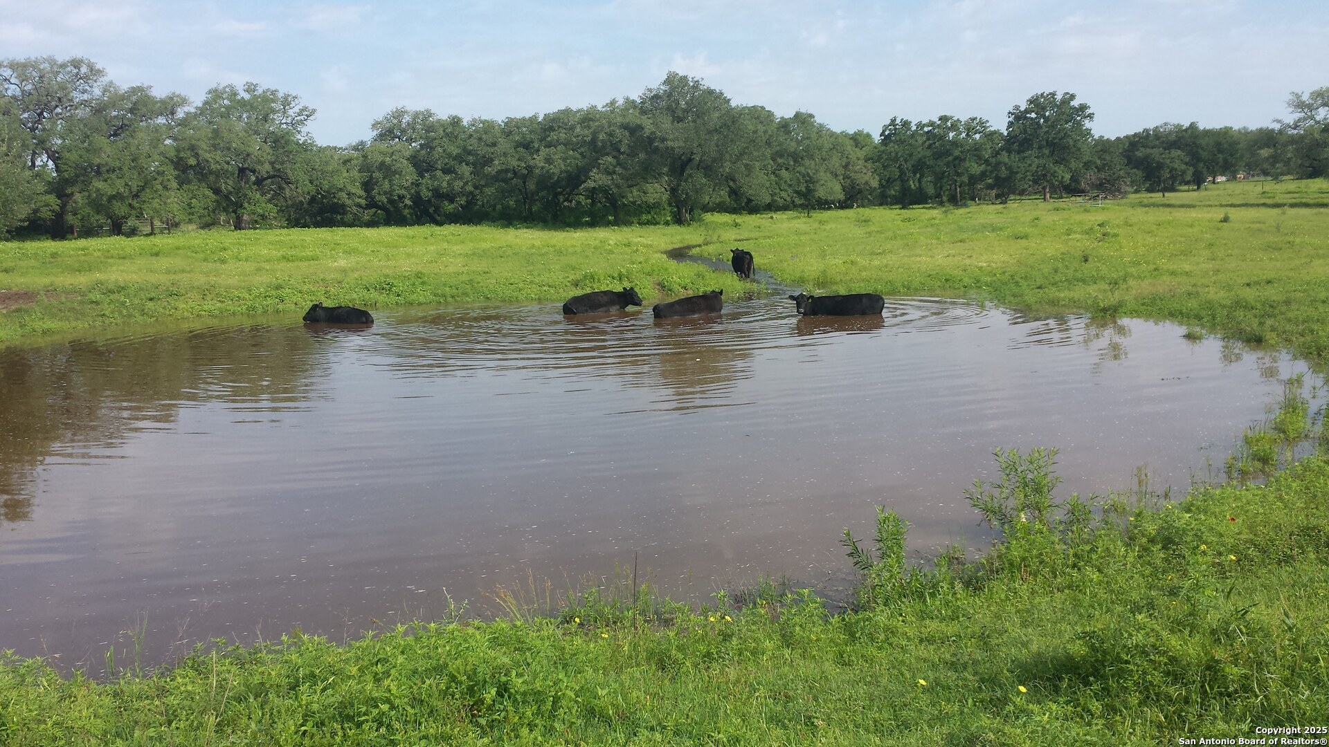1700 Bruce Poteet TX 78065