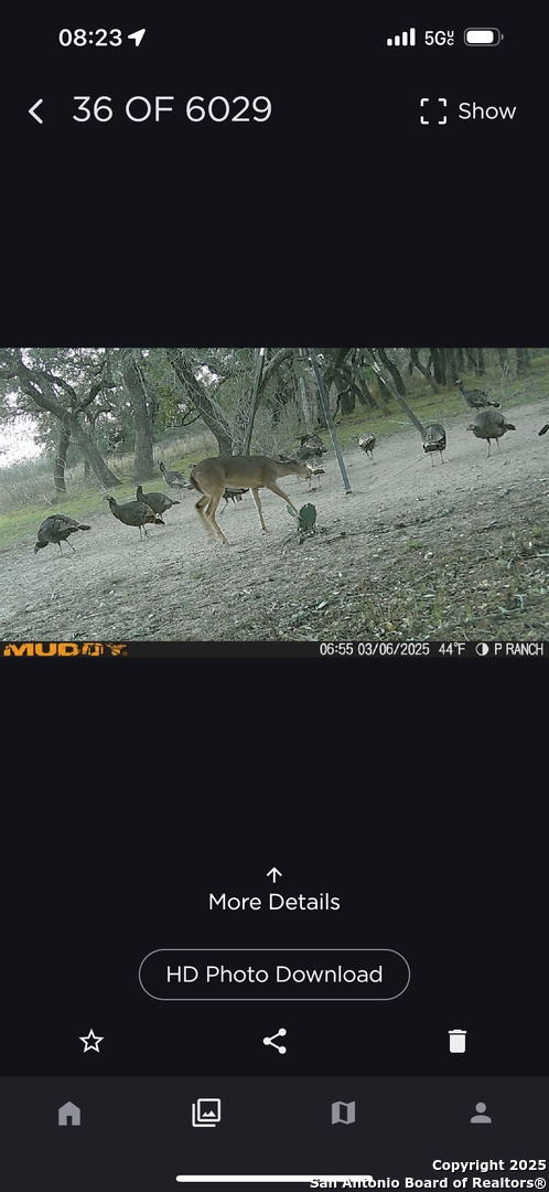 1700 Bruce Poteet TX 78065