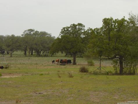 1700 Bruce Poteet TX 78065