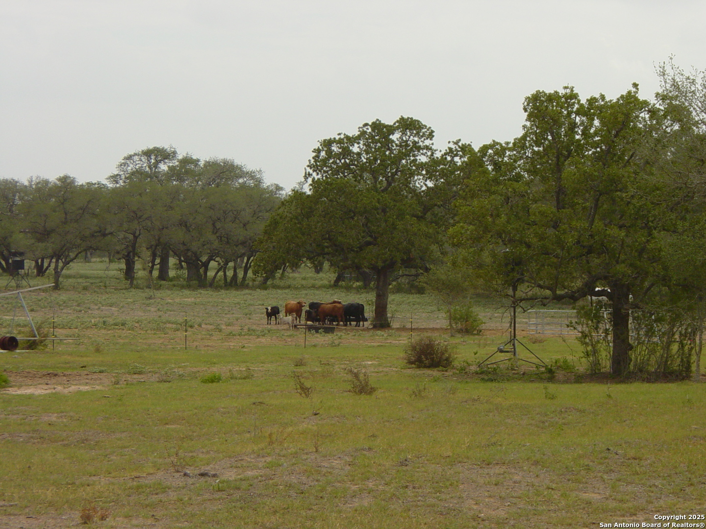 1700 Bruce Poteet TX 78065