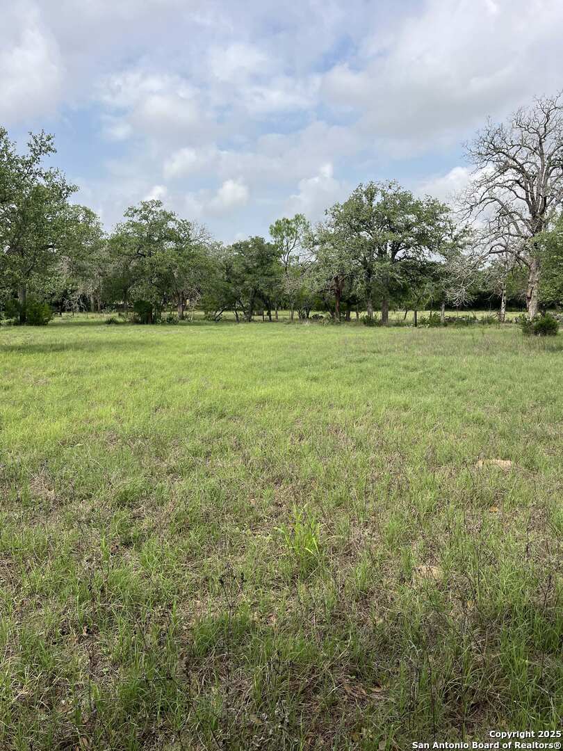 1700 Bruce Poteet TX 78065