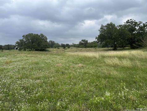 1700 Bruce Poteet TX 78065