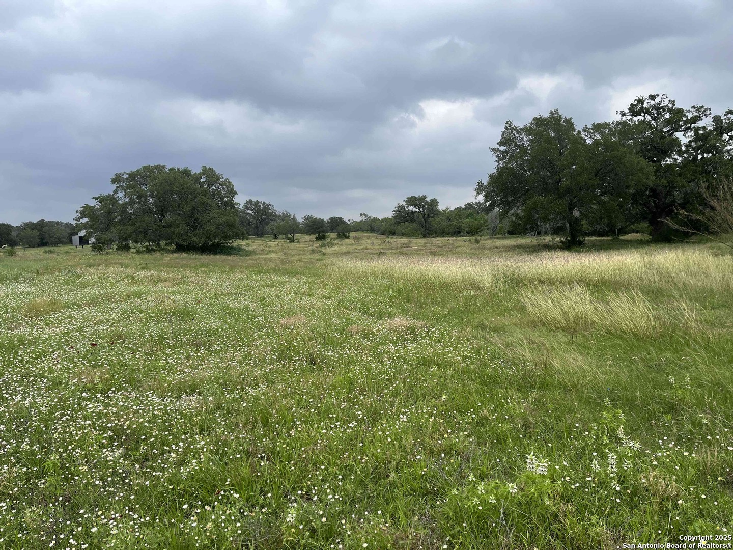 1700 Bruce Poteet TX 78065