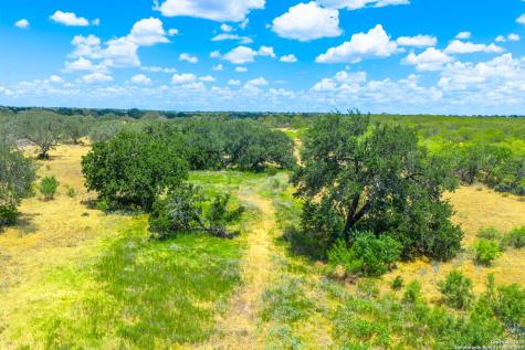 1700 Bruce Poteet TX 78065