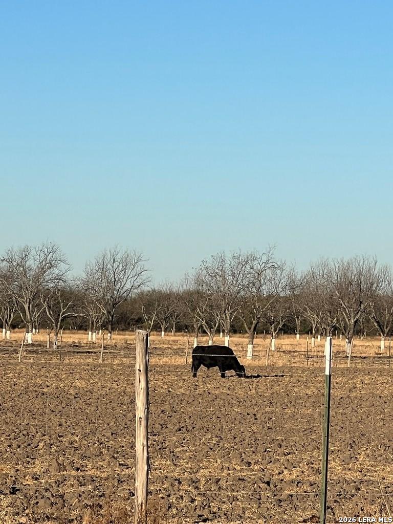 Lot B Fm 1908 Quemado TX 78877