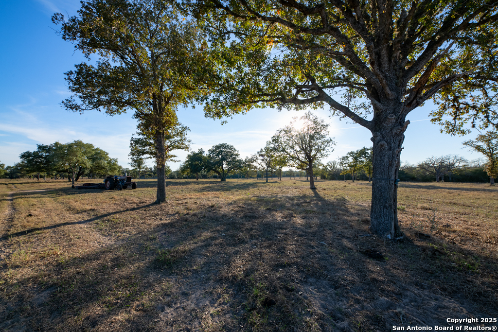 1038 Old Goliad Goliad TX 77963
