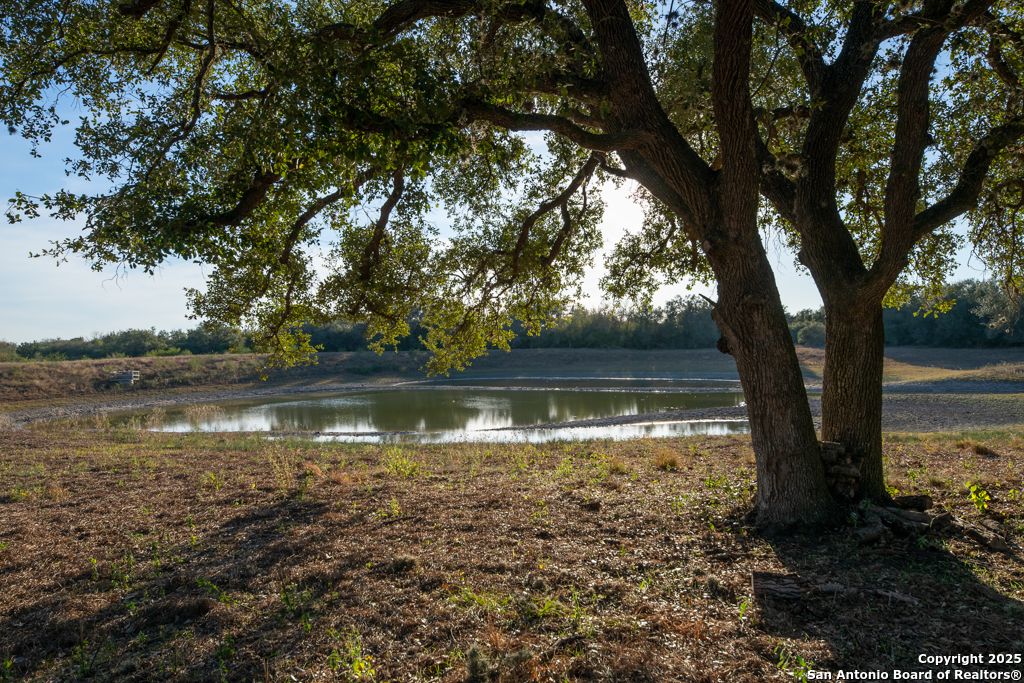 1038 Old Goliad Goliad TX 77963