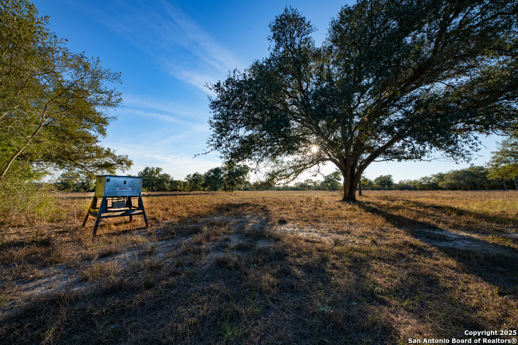 1038 Old Goliad Goliad TX 77963