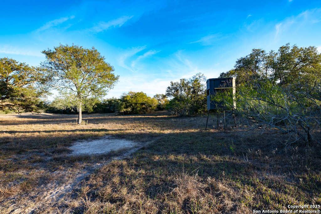 1038 Old Goliad Goliad TX 77963