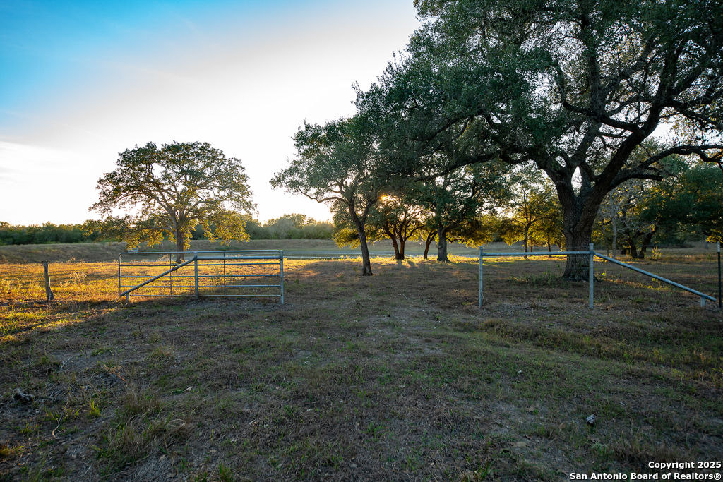 1038 Old Goliad Goliad TX 77963