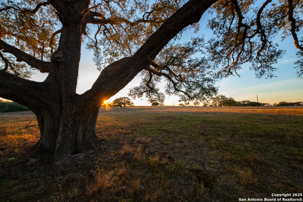 1038 Old Goliad Goliad TX 77963