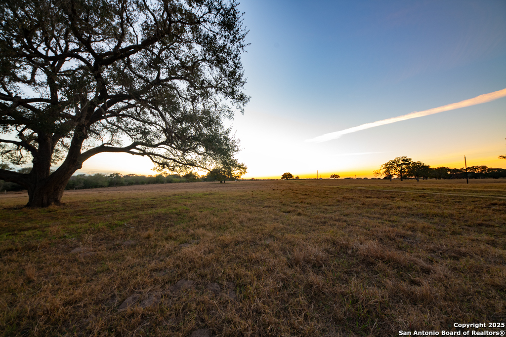 1038 Old Goliad Goliad TX 77963