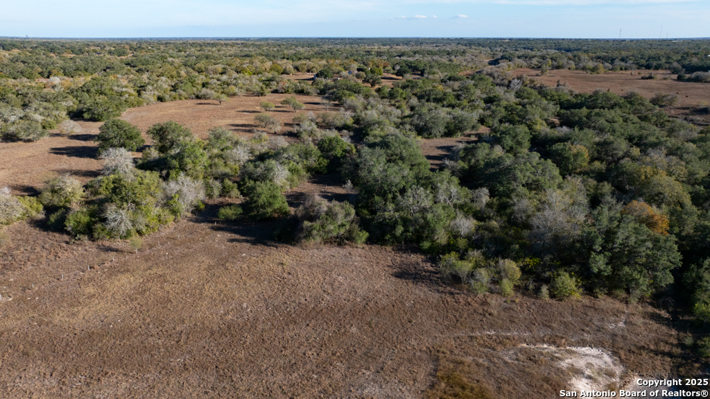 1038 Old Goliad Goliad TX 77963