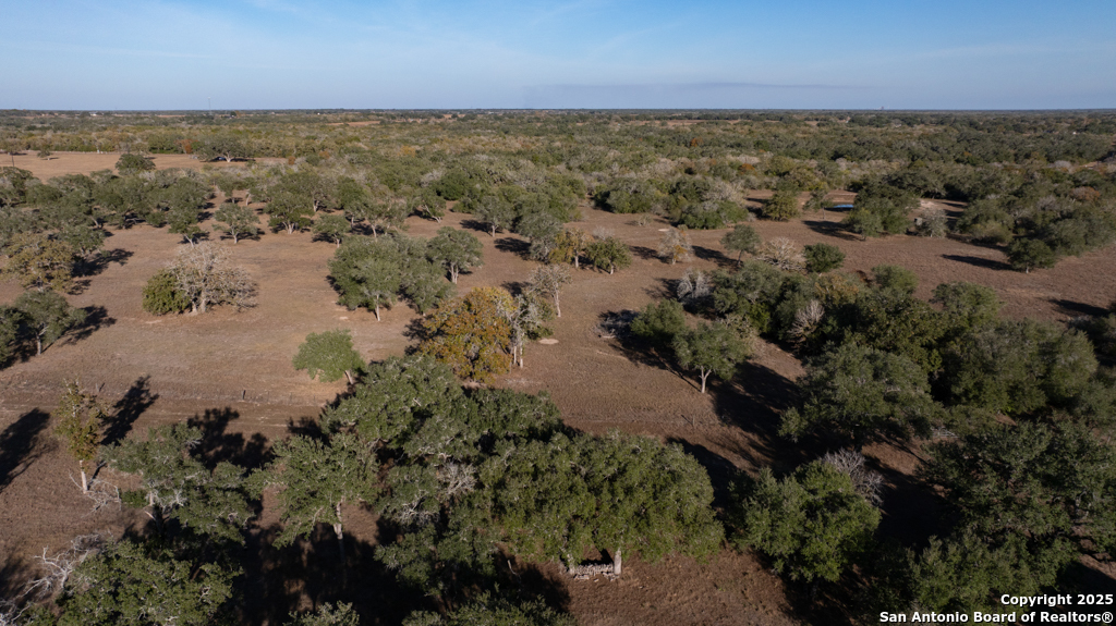 1038 Old Goliad Goliad TX 77963