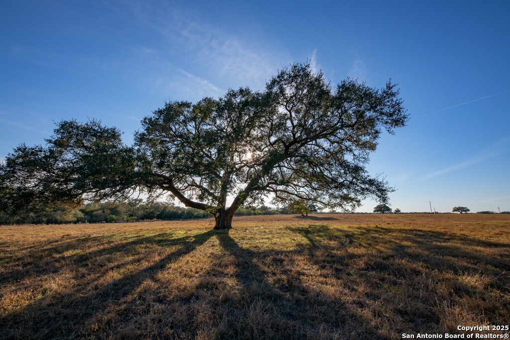 1038 Old Goliad Goliad TX 77963