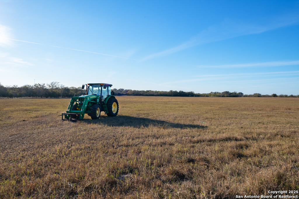 1038 Old Goliad Goliad TX 77963