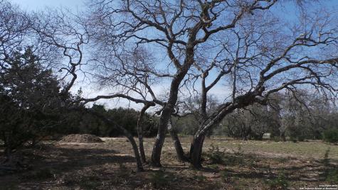 325 Vista View Drive Boerne TX 78006