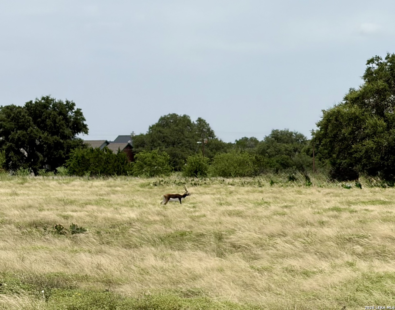 11 Stone Crest Bandera TX 78003