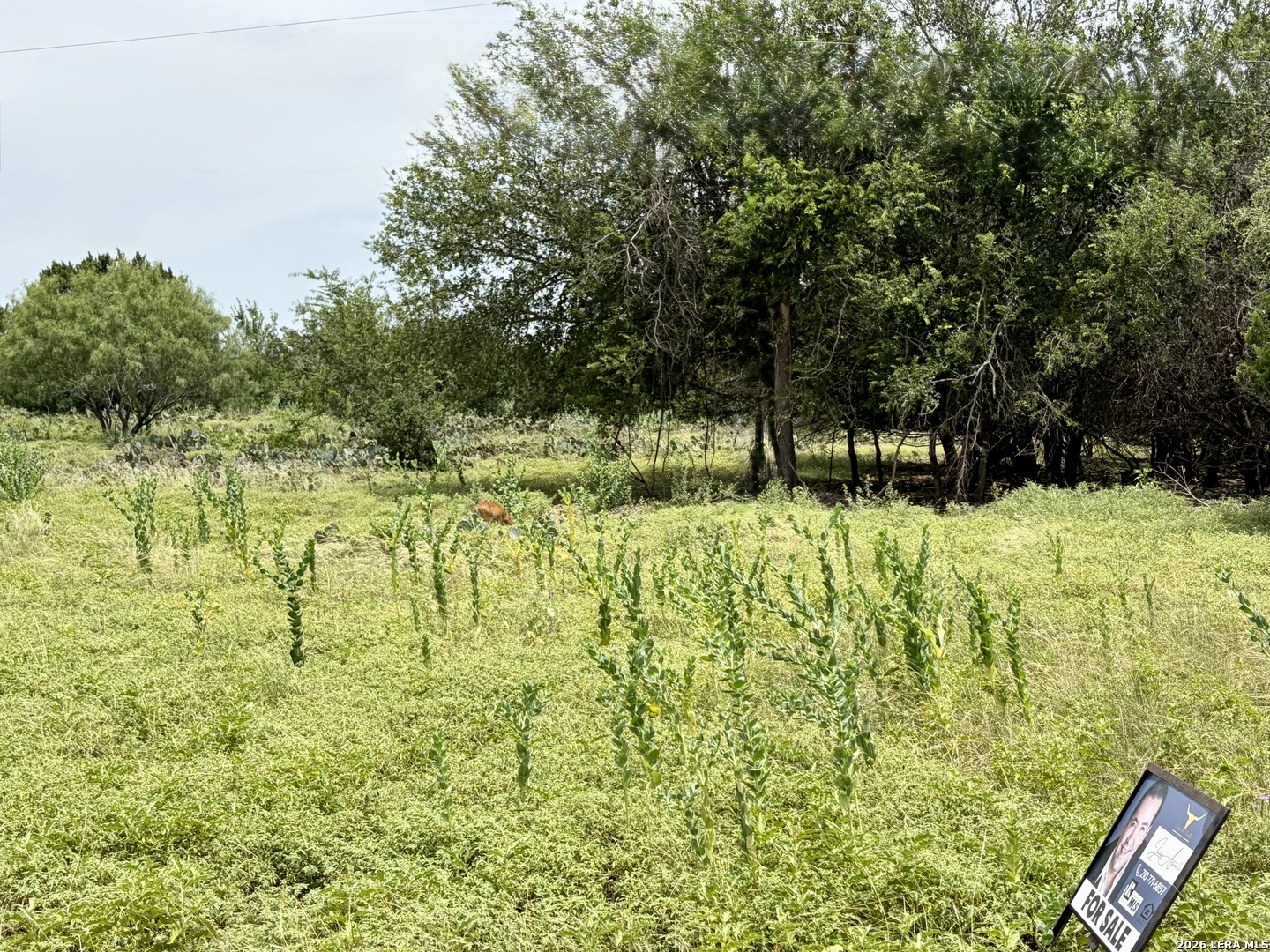 11 Stone Crest Bandera TX 78003