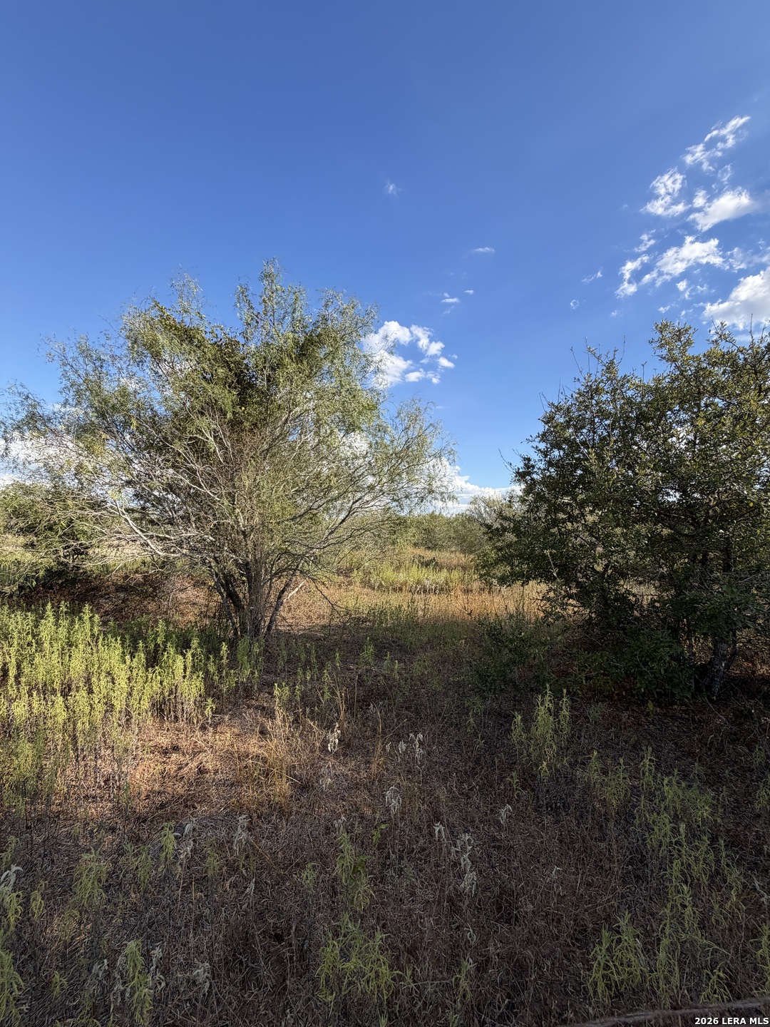 Tract #4 Elm Creek Road Seguin TX 78155