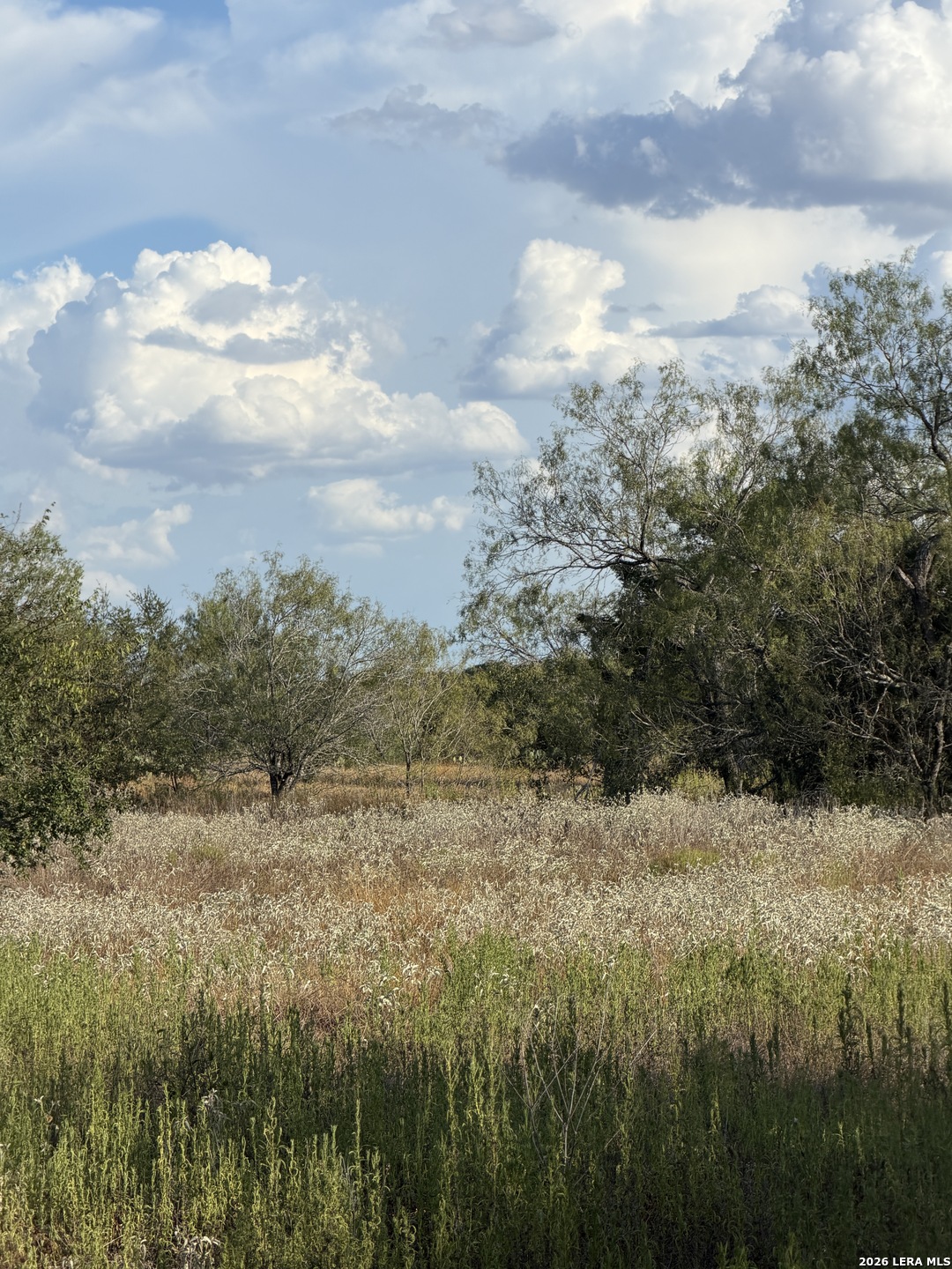 Tract #4 Elm Creek Road Seguin TX 78155