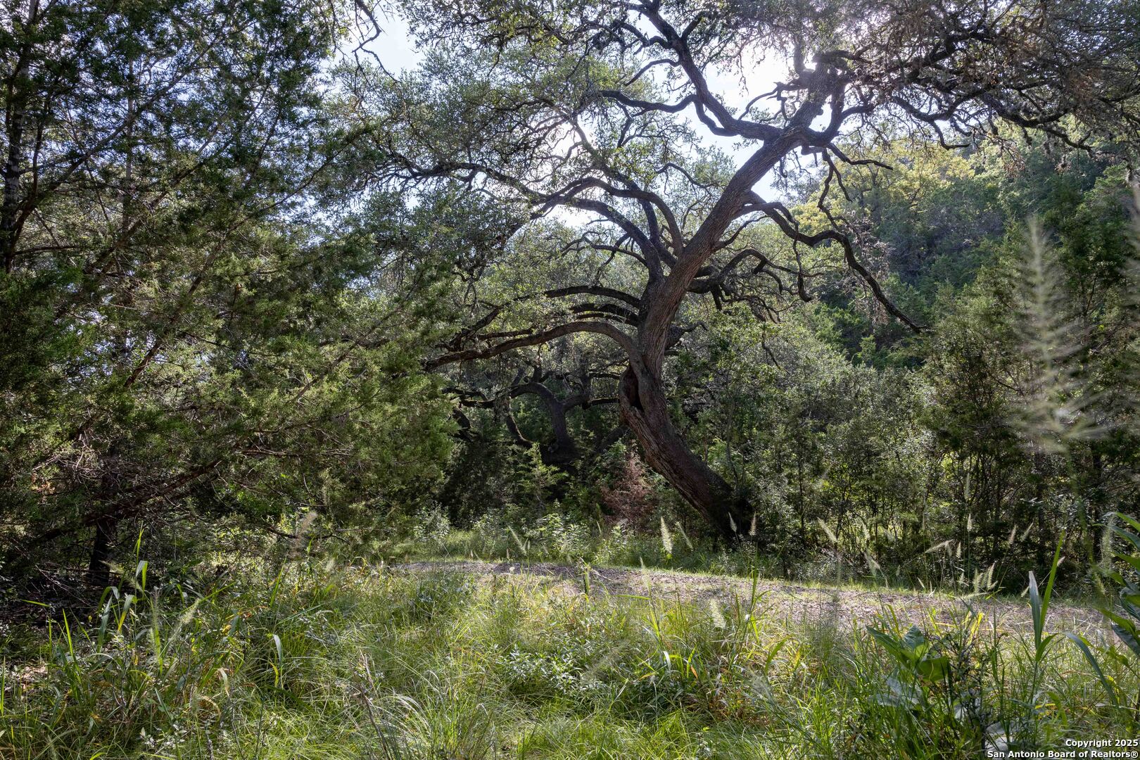 7622 Ramble Ridge San Antonio TX 78266