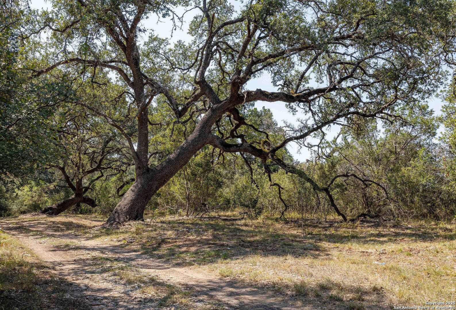 7622 Ramble Ridge San Antonio TX 78266