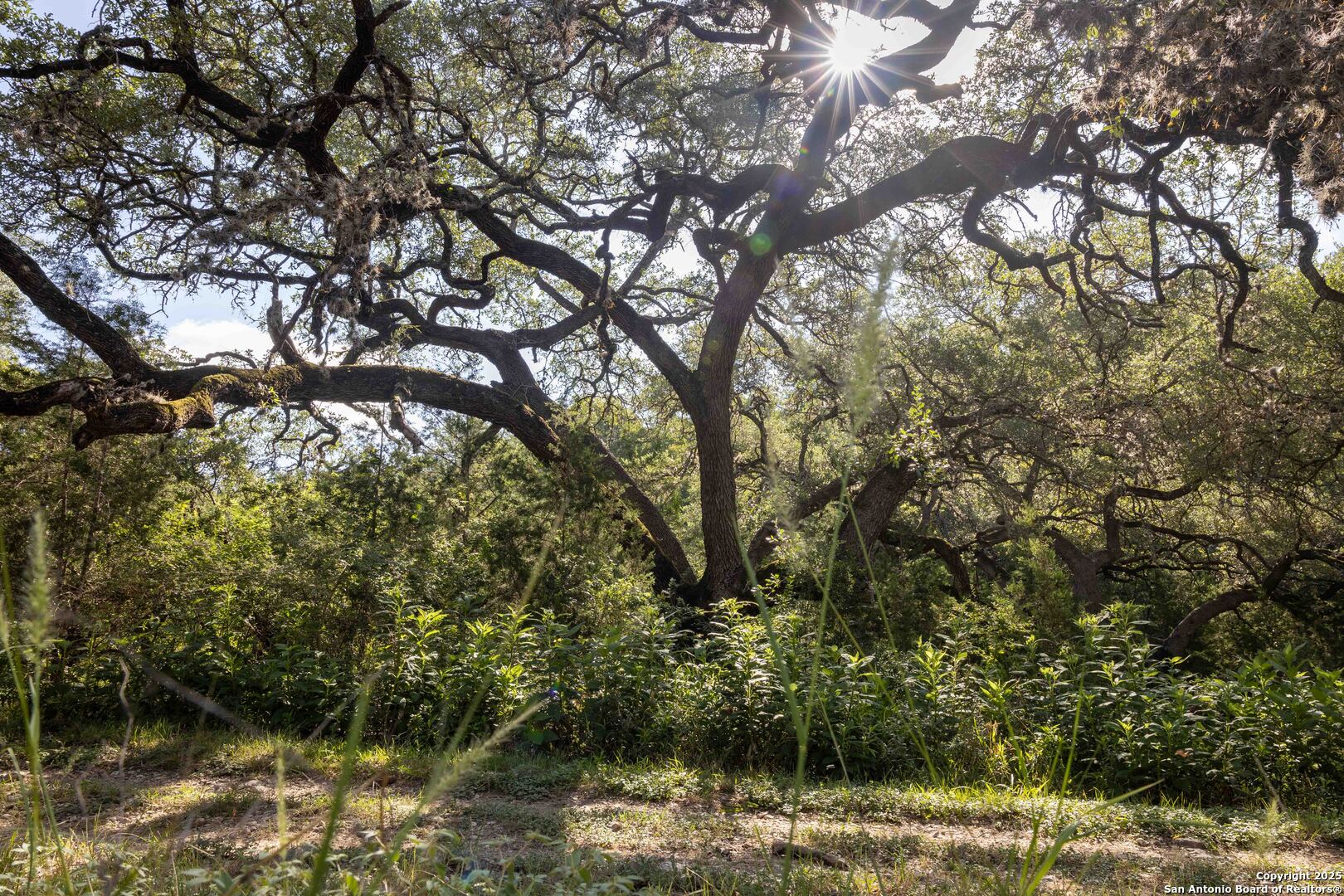 7622 Ramble Ridge San Antonio TX 78266