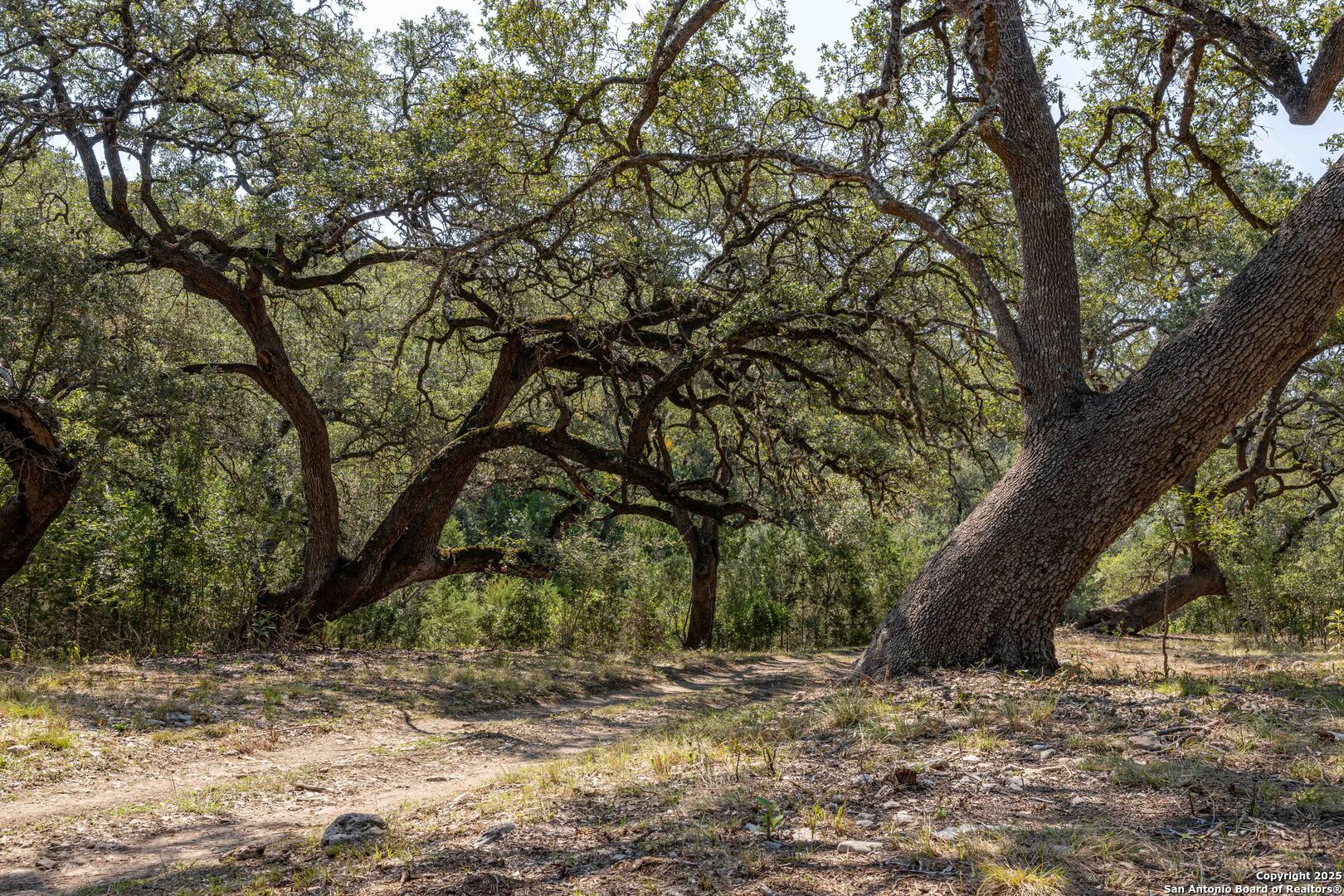 7622 Ramble Ridge San Antonio TX 78266