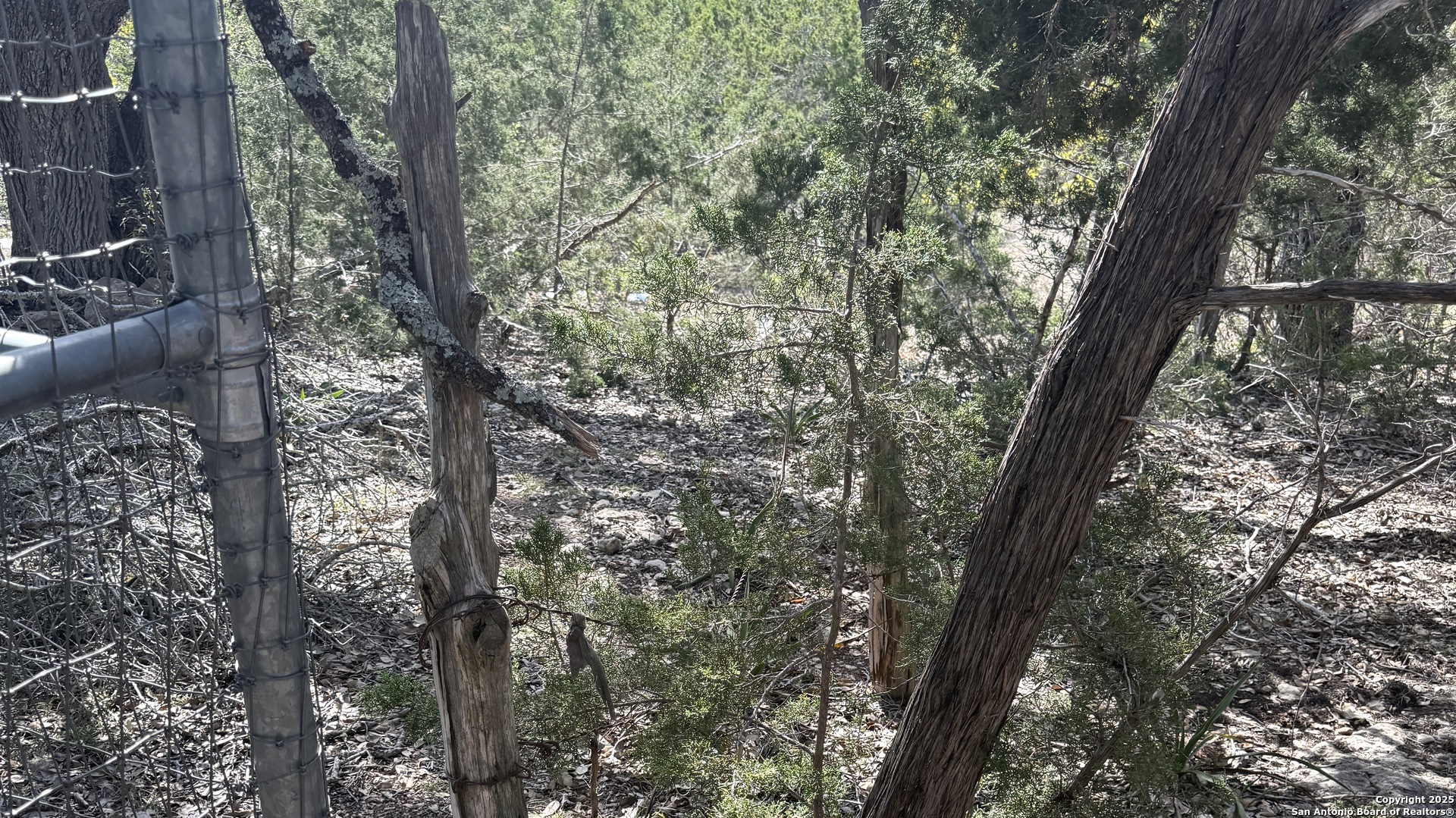 1430 Circle Acres Bulverde TX 78163