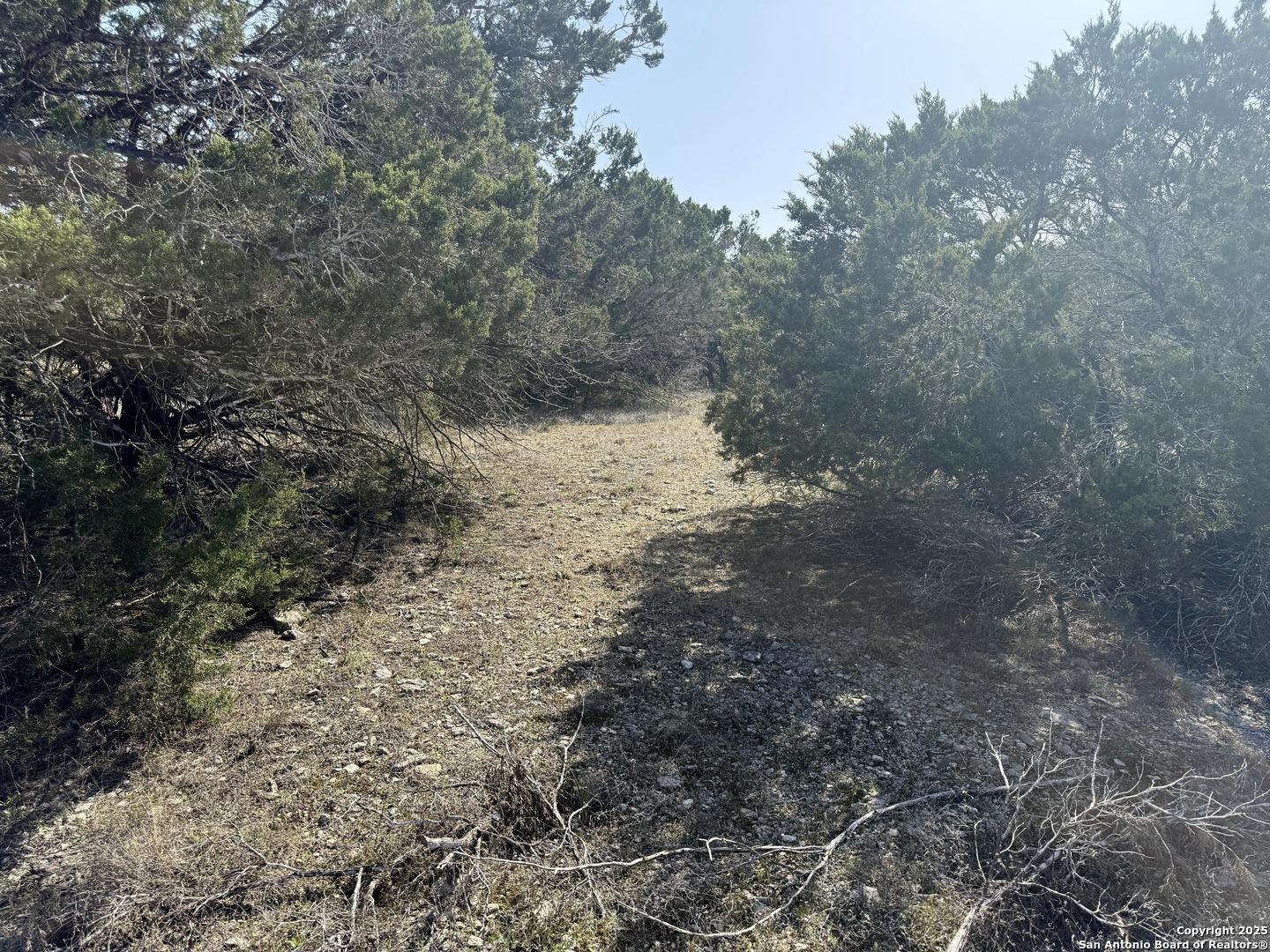 1430 Circle Acres Bulverde TX 78163