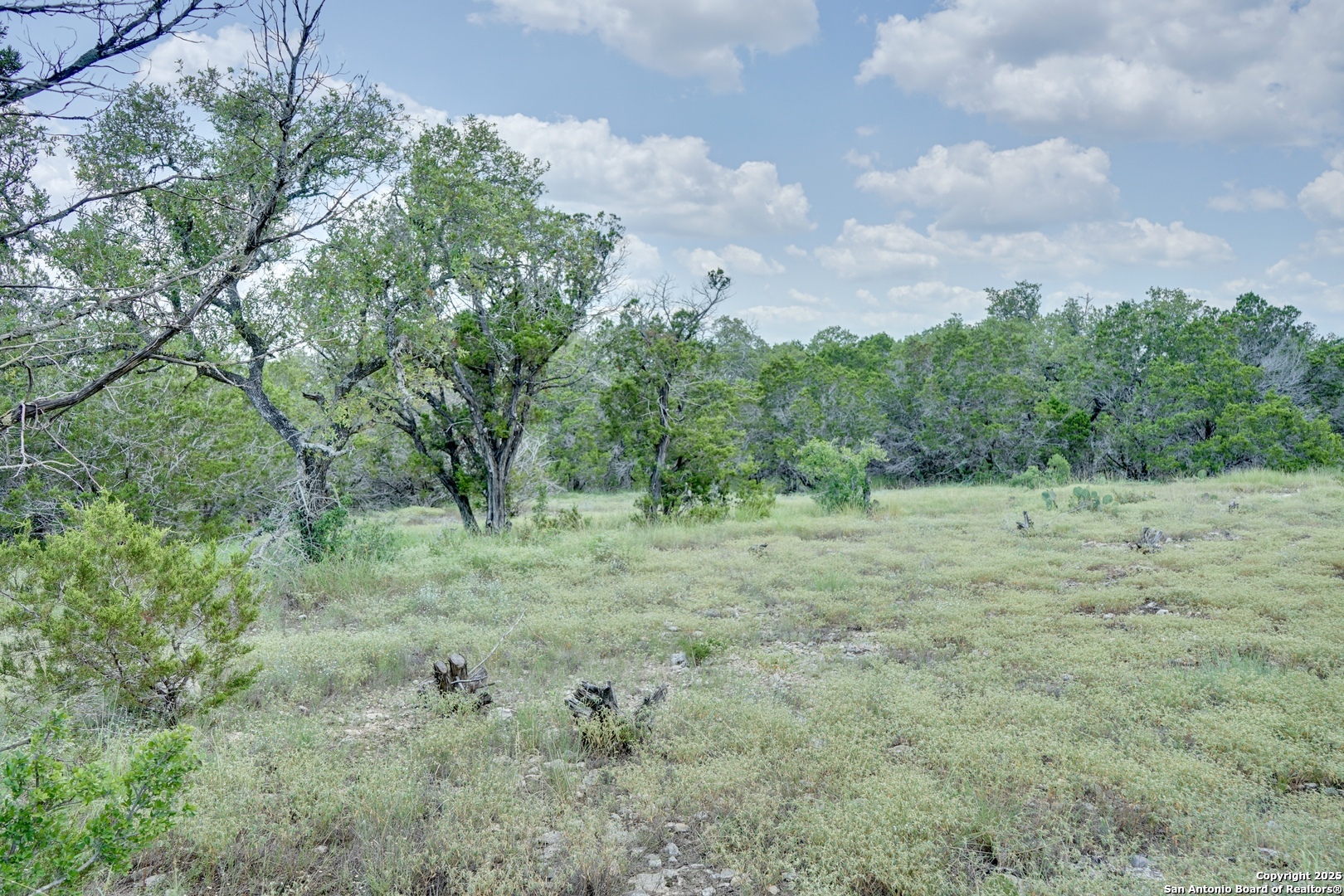 447 Coyote Trail Spring Branch TX 78070